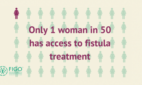 International Day to End Obstetric Fistula | Figo